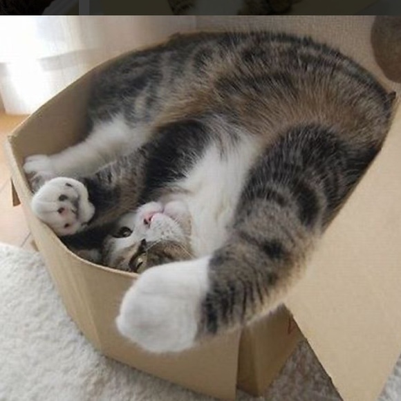 🌿I Pack With Care & Bubble Wrap🌿 - Picture 4 of 16